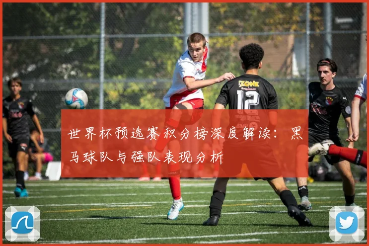 世界杯预选赛积分榜深度解读：黑马球队与强队表现分析