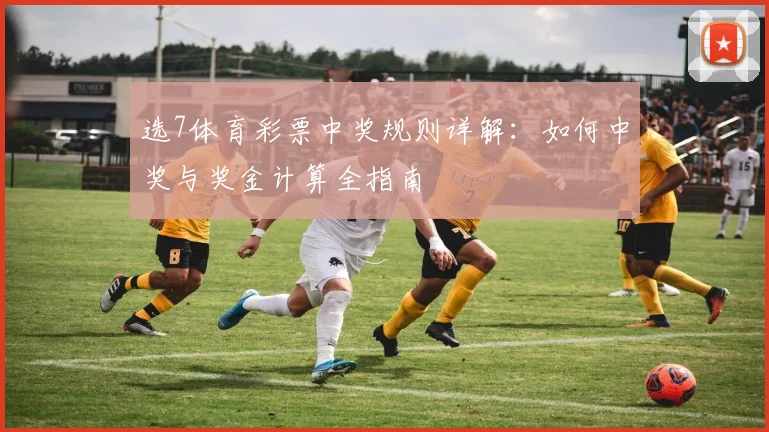 选7体育彩票中奖规则详解：如何中奖与奖金计算全指南